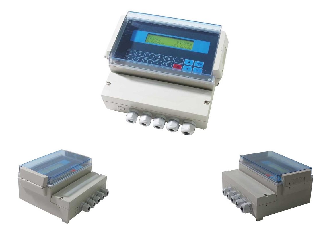 De corrosievrije LCD Indicator van de het Controlemechanismeweger van de Riemschaal met Gewicht Totalizing